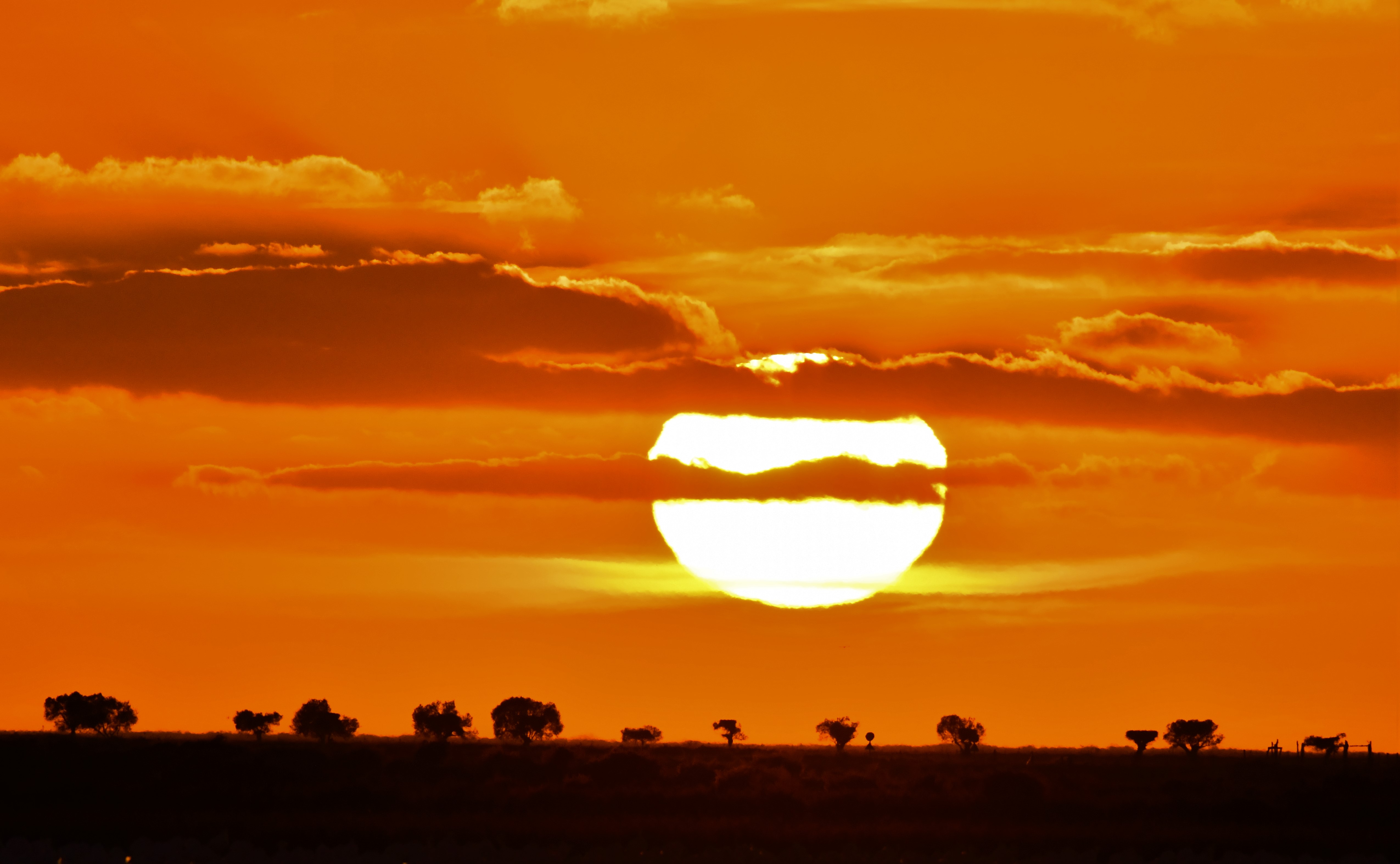 la_sabana_en_doñana_.jpg