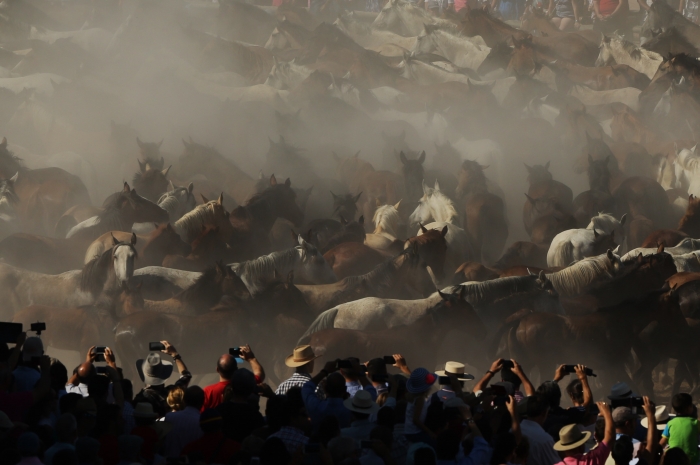 Saca de las Yeguas una  tradición centenaria 