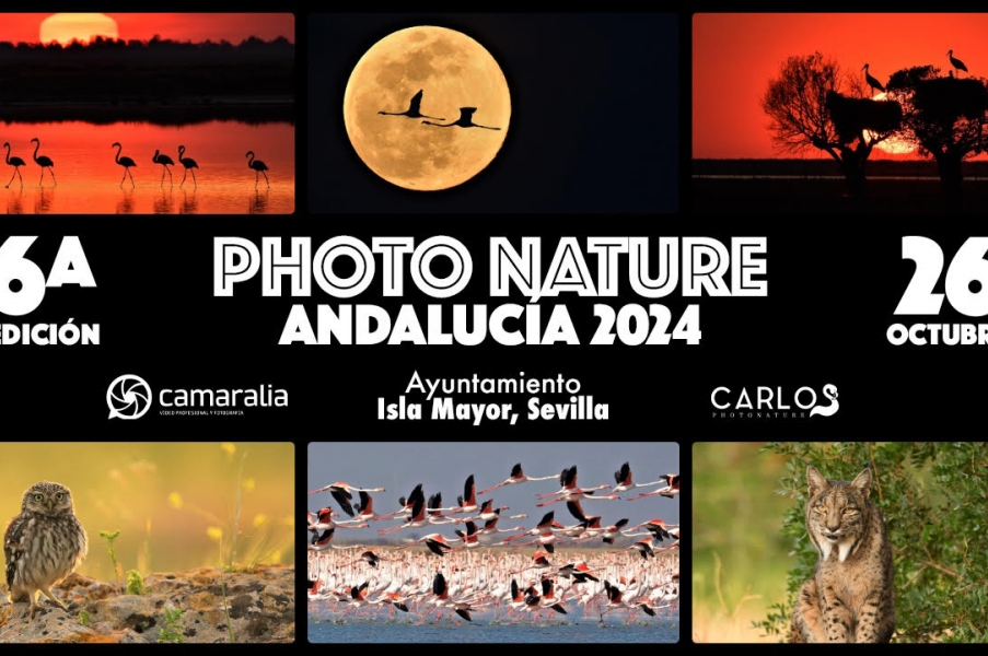 6º edición de Photo Nature Andalucía 2024 