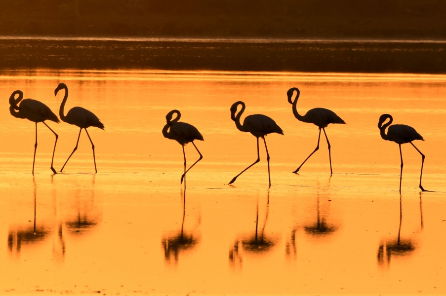 Atardecer de ensueño durante taller fotográfico 23 septiembre 2023 